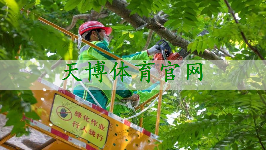 榆树绿化苗木批发市场在哪里