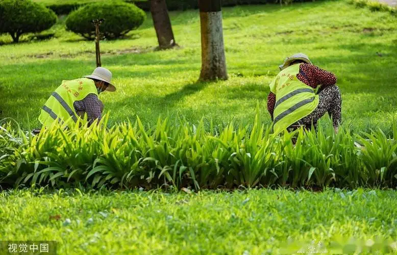 花坛园林景观设计方案