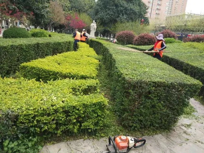 无锡最大园林绿化工程