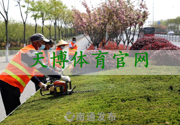 武威绿化亮化工程项目