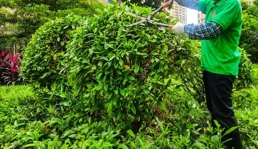 浙江绿化工程人工费材料费的比例