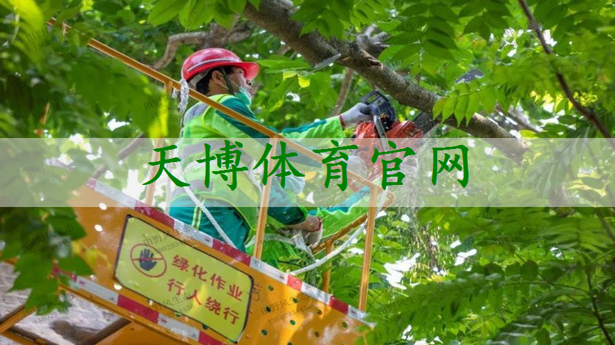 市园林管理难题揭秘：城市道路绿化缺乏系统规划与有效维护